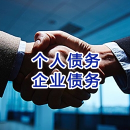 云龙追债公司
